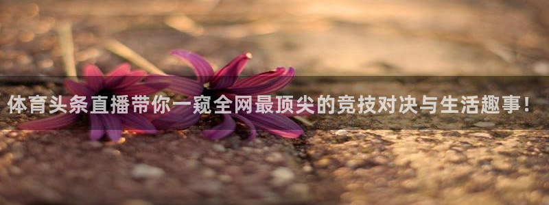 新闻图片