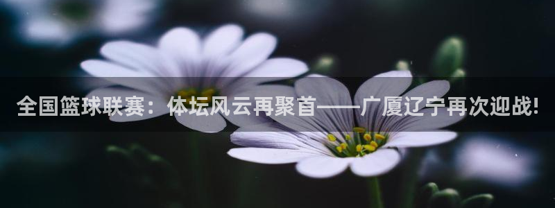 全国篮球联赛：体坛风云再聚首——广厦辽宁再次迎战!