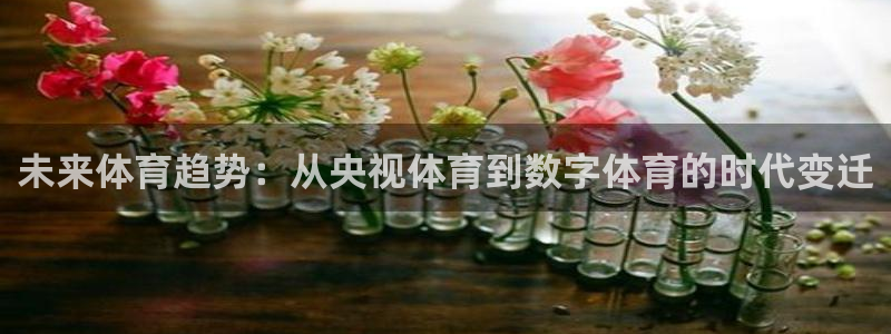 未来体育趋势：从央视体育到数字体育的时代变迁