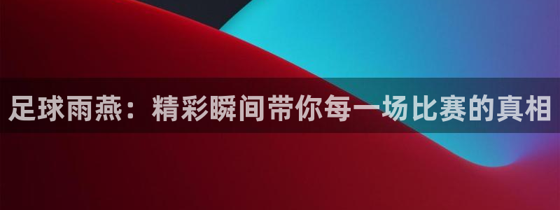 足球雨燕：精彩瞬间带你每一场比赛的真相